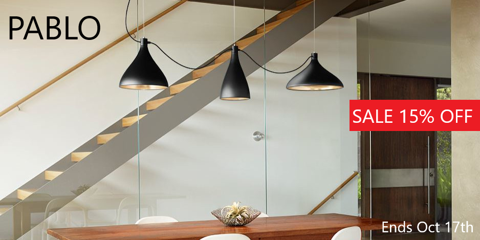 Neenas Knows Lighting Modern Transitional