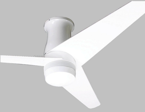 Modern Fan Company Velo Hugger Fan Fan Neenas Lighting